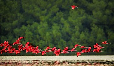 What Are The Major Natural Resources Of Trinidad And Tobago?
