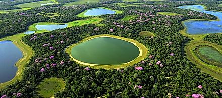 The Pantanal in Brazil.