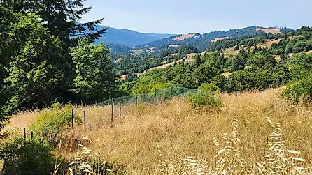 Roadside vista of rolling hills and forest lands of Humboldt County, California. 