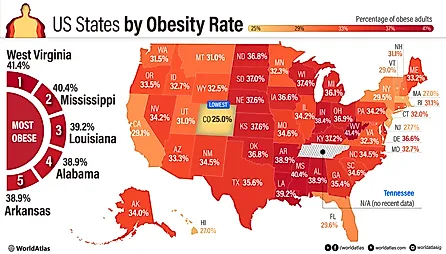 infographic showing US States by obesity rate