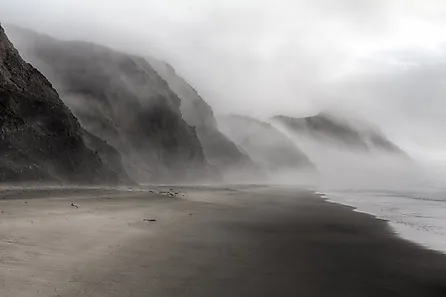 Beautiful foggy beach in Point Reyes, California. 