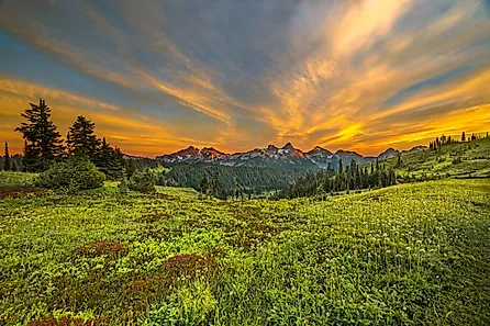 Mount Rainier National Park is an American national park located in Washington state. 