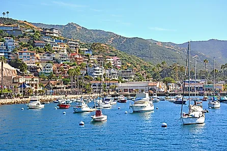 Boats in Avalon, California 