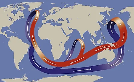 The Thermohaline Circulation, often called the Global Ocean Conveyor Belt. Via Shutterstock / Nicholas Primola