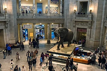 Smithsonian National Museum of Natural History, Editorial credit: becauz gao / Shutterstock.com