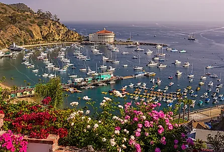Overlooking Avalon, California.