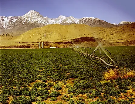 Watering a farm in Imperial Valley, California