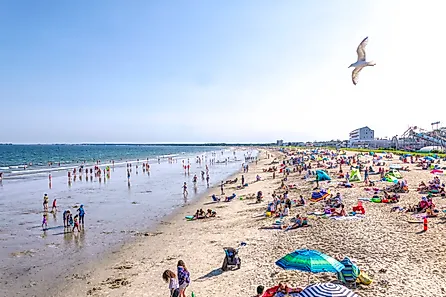 Crowds of people enjoy the sun and surf of Old Orchard Beach in Maine. A single seagull flys over the scene.