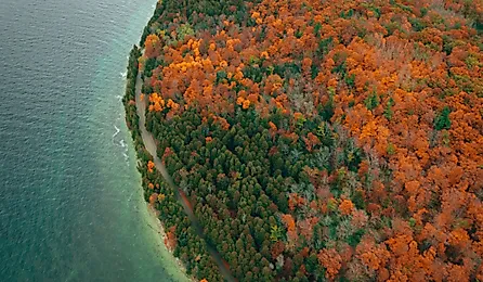  Aerial view of autumn forest in Peninsula State Park, Wisconsin.