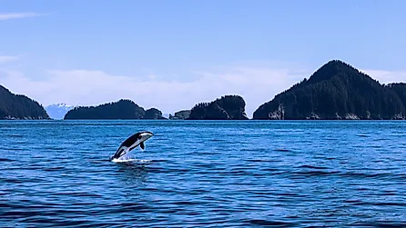 A scenic view of an orca over the water with beautiful mountains in the background. 
