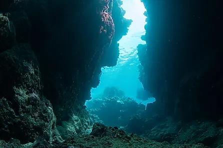 sunlight underwater