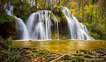 Raymondskill Falls Waterfall in green forest.