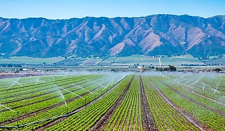 A field irrigation sprinkler system waters rows of lettuce crops on farmland in the Salinas Valley of central California, in Monterey County. 