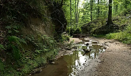 Clark Creek Natural Area, Tunica Hills, Mississippi