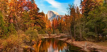 Colorful Trees, with a river and mountains in Yosemite National Park, California