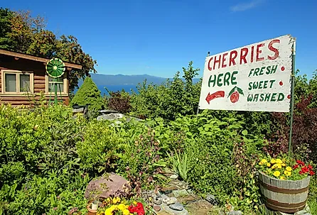 Sign advertising cherries for sale at a cherry orchard with Flathead Lake in the background
