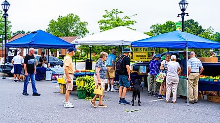 Easton Farmer's Market on a Saturday morning on Harrison Street in Easton, Maryland.