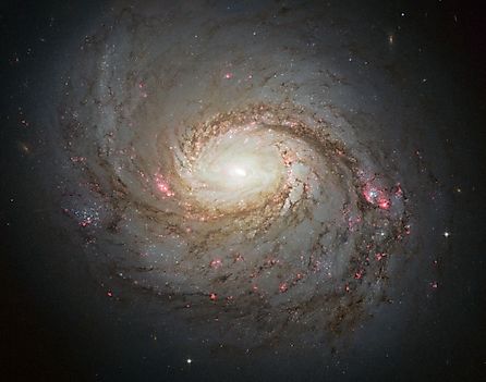 Galaxy