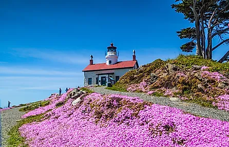 Foreground view of the Battery Point Lighthouse in Crescent City, CA