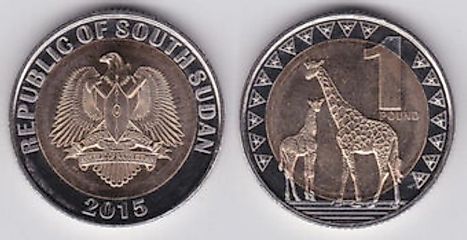 South Sudanese 1 pound Coin