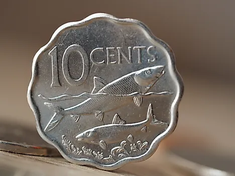 Bahamian Dollar with picture of sea life on the coin surface: two bone fish swimming as a depiction on 10 cent coin