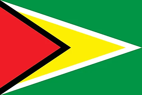 The official flag of Guyana. 