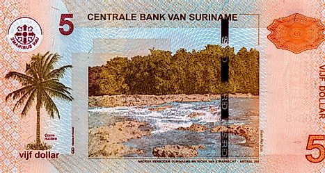 Surinamese 5 dollar Banknote