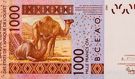 West African CFA 1000 franc Banknote