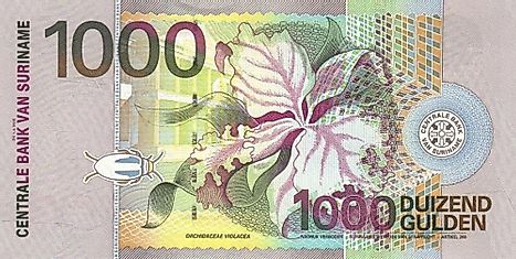 Surinamese 1000 guilder Banknote