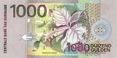 Surinamese 1000 guilder Banknote