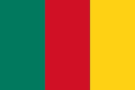  Flag of French Cameroon (1957–1961)