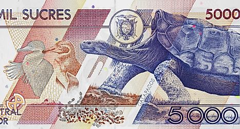 Galapagos Islands fauna on Ecuador 5000 sucres (1999) banknote 
