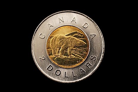A Canadian polar bear 2 dollar coin