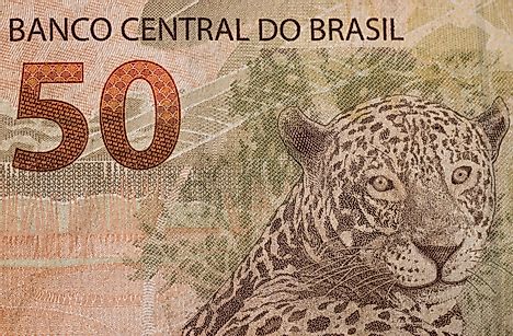 50 Brazilian real banknote showing the jaguar.