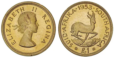 South African 1 pound Coin