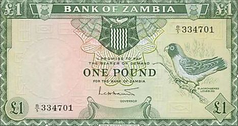 Zambian 1 pound Banknote