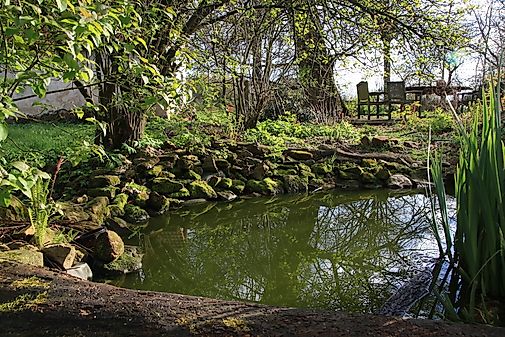 What Are The Differences Between A Lake And A Pond?
