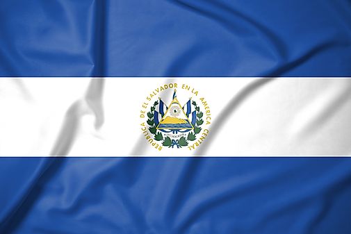Pity, El salvador gif porn pity Opinion El salvador gif porn