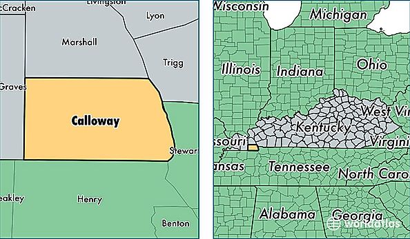 location of Calloway county on a map