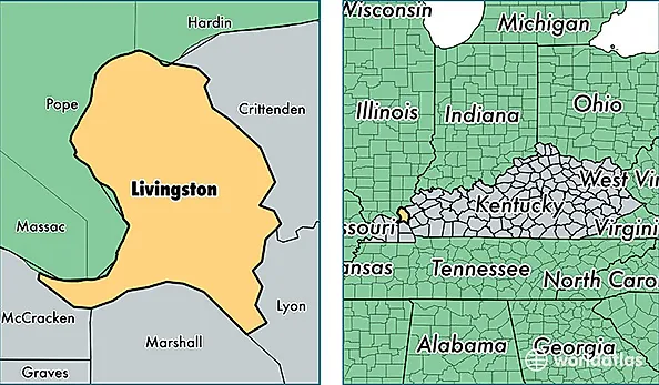 location of Livingston county on a map