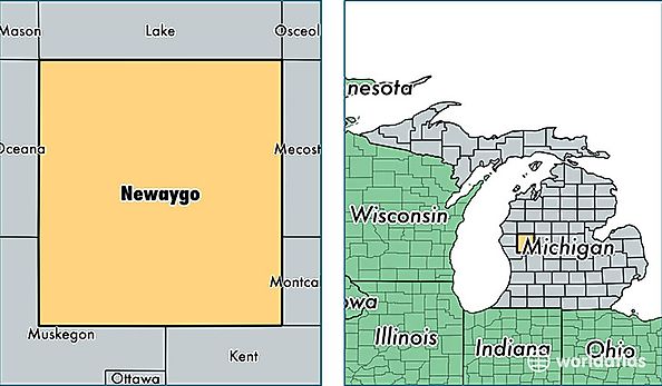 location of Newaygo county on a map