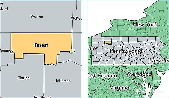 location of Forest county on a map