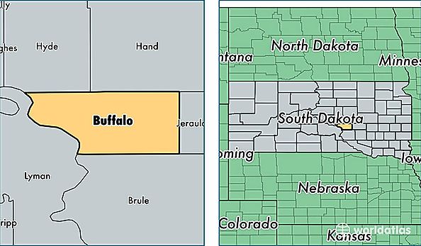 location of Buffalo county on a map
