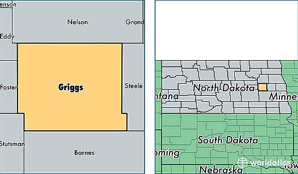 location of Griggs county on a map