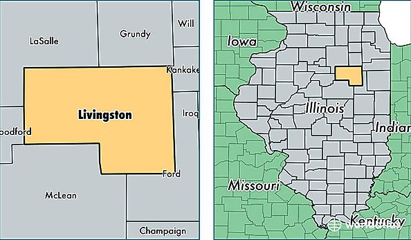 location of Livingston county on a map