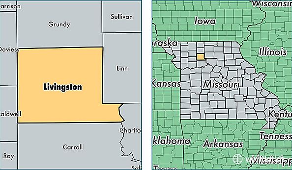 location of Livingston county on a map