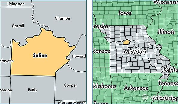 location of Saline county on a map