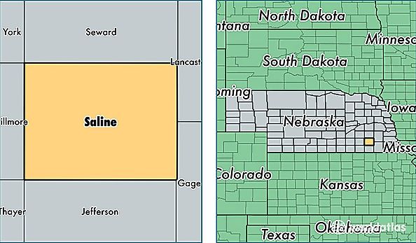 location of Saline county on a map