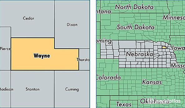 location of Wayne county on a map