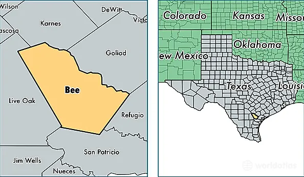 location of Bee county on a map